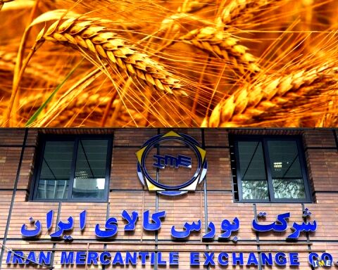 نگرانی کشاورزان با عرضه گندم در بورس پایان نیافت
