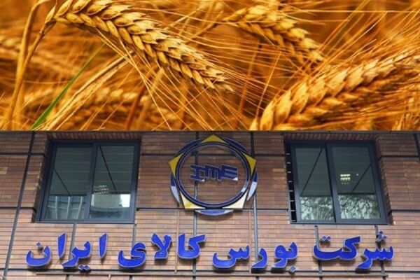 نگرانی کشاورزان با عرضه گندم در بورس پایان نیافت