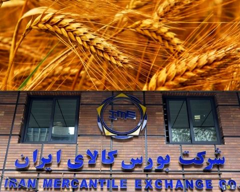 نگرانی کشاورزان با عرضه گندم در بورس پایان نیافت