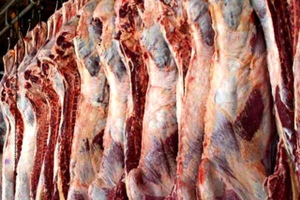 بازار گوشت آرام گرفت