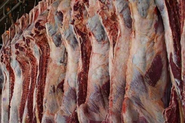 بازار گوشت آرام گرفت