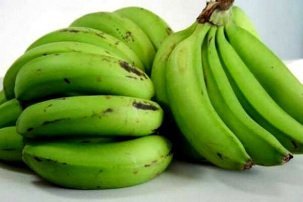 صادرات یک هزار تنی موز به ترکیه و قطر