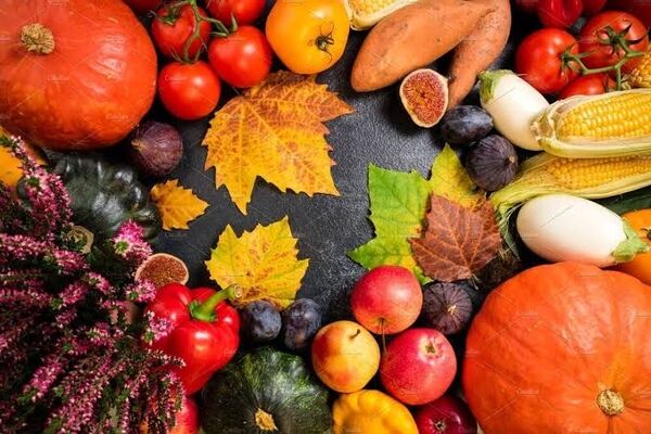 قیمت میوه های پاییزی در مشهد 