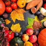 قیمت میوه های پاییزی در مشهد 