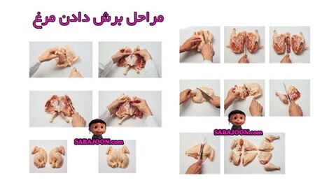 آموزش خرد کردن مرغ به صورت تصویری: