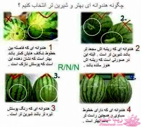 انتخاب هندوانه شیرین