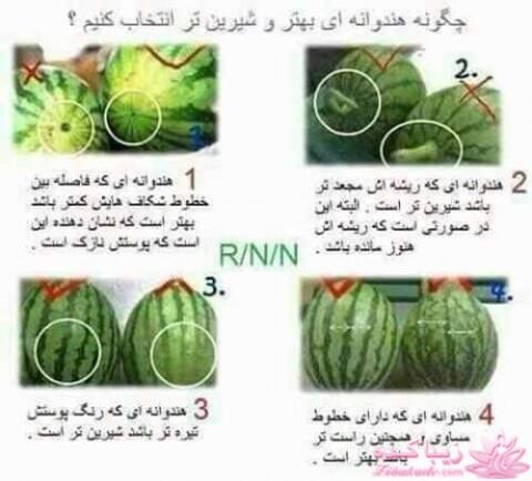انتخاب هندوانه شیرین
