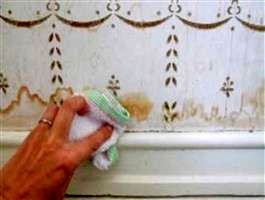 کاغذ دیواری را چگونه تمیز کنیم؟