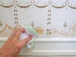 کاغذ دیواری را چگونه تمیز کنیم؟