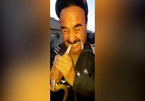 کماندوی افغانستانی یک مار را زنده زنده خورد! + فیلم