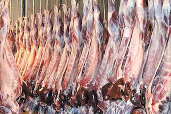 پاداش 10 میلیونی و ارتقای شغلی مدیر زندانی