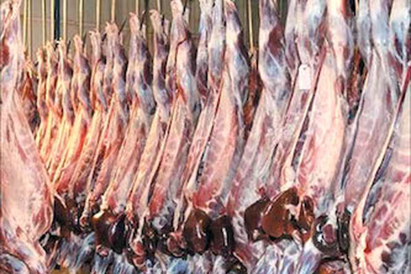 پاداش 10 میلیونی و ارتقای شغلی مدیر زندانی