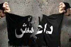 لحظه لو رفتن داعشی پشت درخت+ فیلم