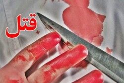 قاتل تور مسافرتی مشهد دستگیر شد