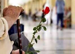 خراسان رضوی ۶۰۰ هزار سالمند دارد