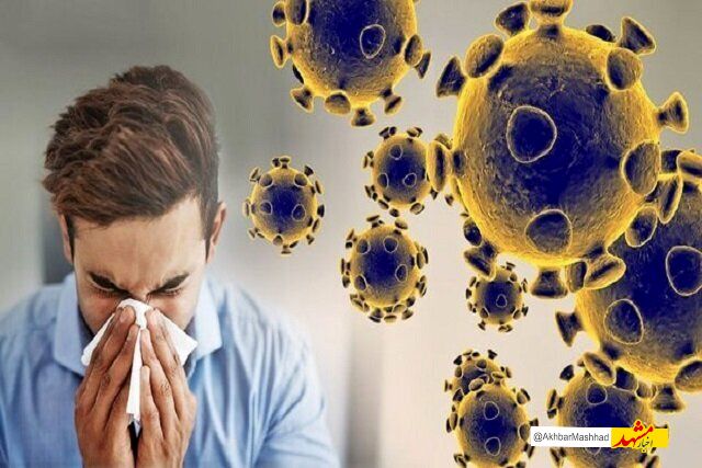 افزایش ۱۰ درصدی بستری بزرگسالان مبتلا به بیماری‌های تنفسی در مشهد