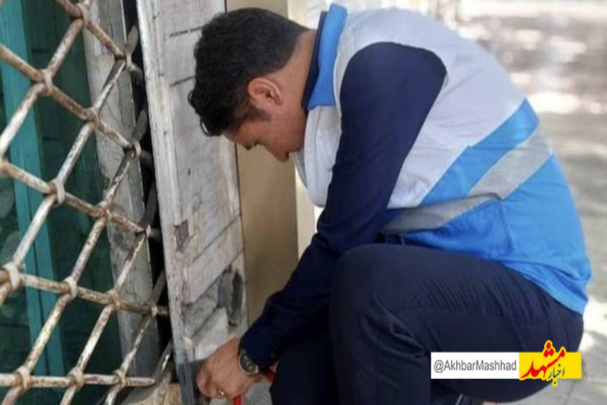 یک واحد نانوایی در تربت حیدریه پلمب شد