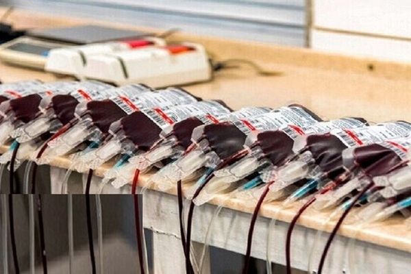 آیا اهدای خون روزه را باطل می‌کند؟