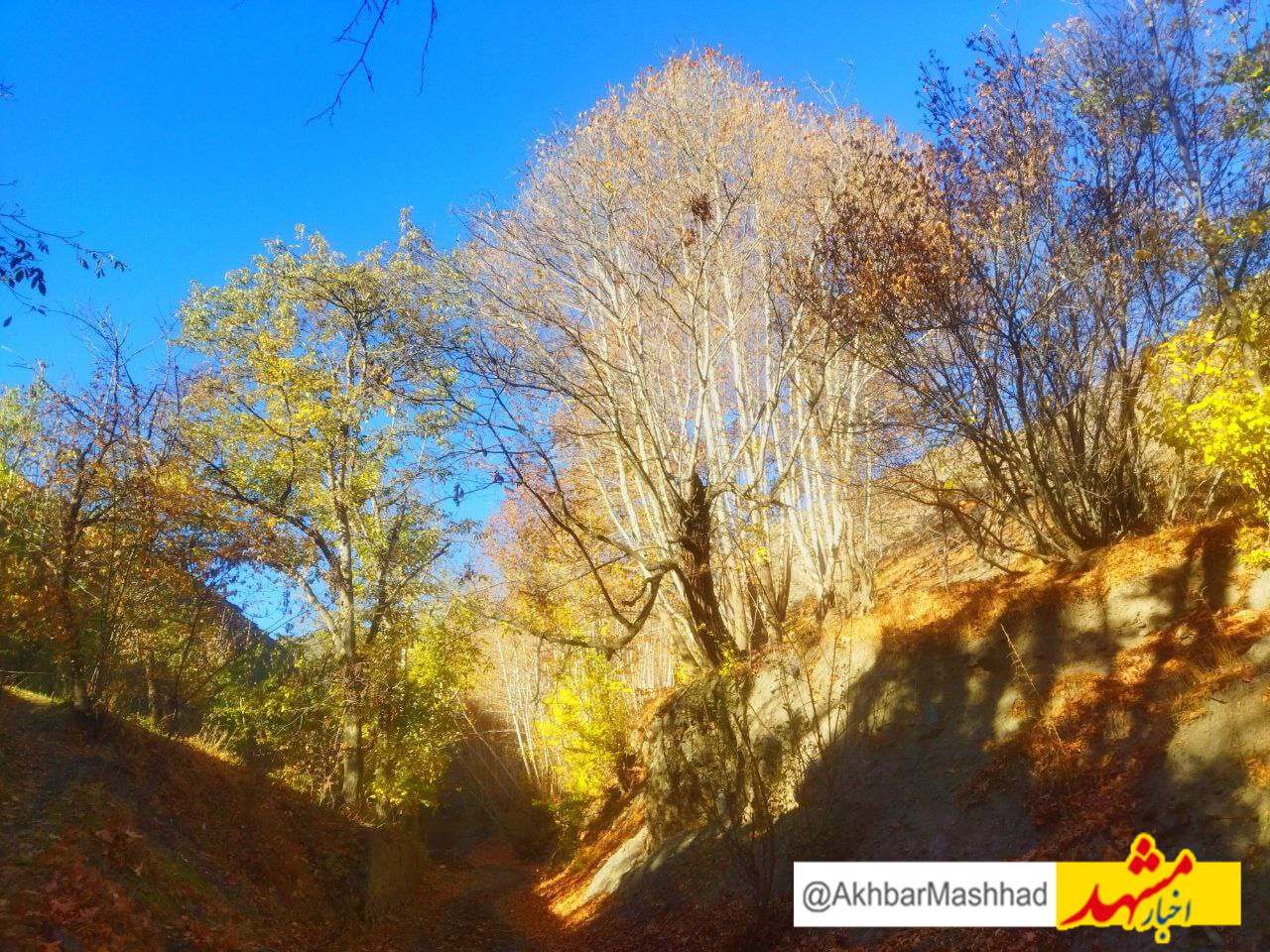 دره خوش رود و پاییز زیبایش
