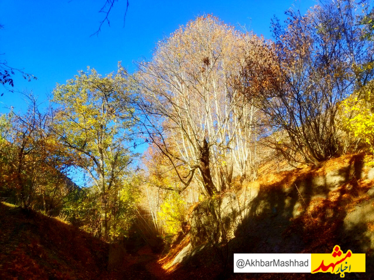 دره خوش رود و پاییز زیبایش

