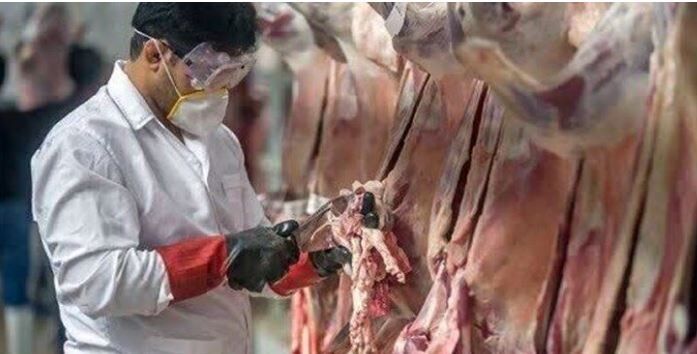 تشدید نظارت های دامپزشکی در خراسان شمالی