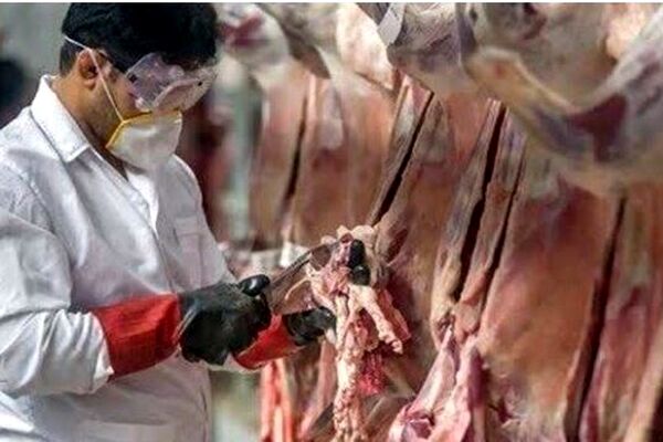 تشدید نظارت های دامپزشکی در خراسان شمالی