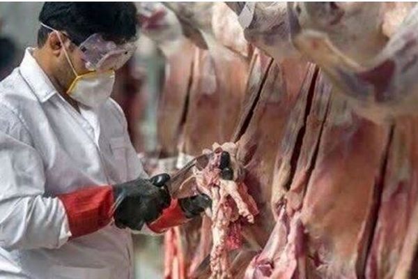 تشدید نظارت های دامپزشکی در خراسان شمالی