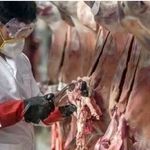 تشدید نظارت های دامپزشکی در خراسان شمالی