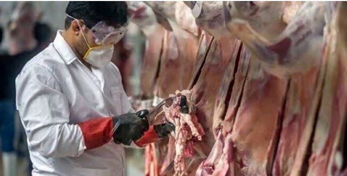 تشدید نظارت های دامپزشکی در خراسان شمالی