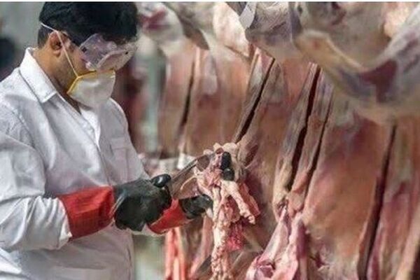 تشدید نظارت های دامپزشکی در خراسان شمالی