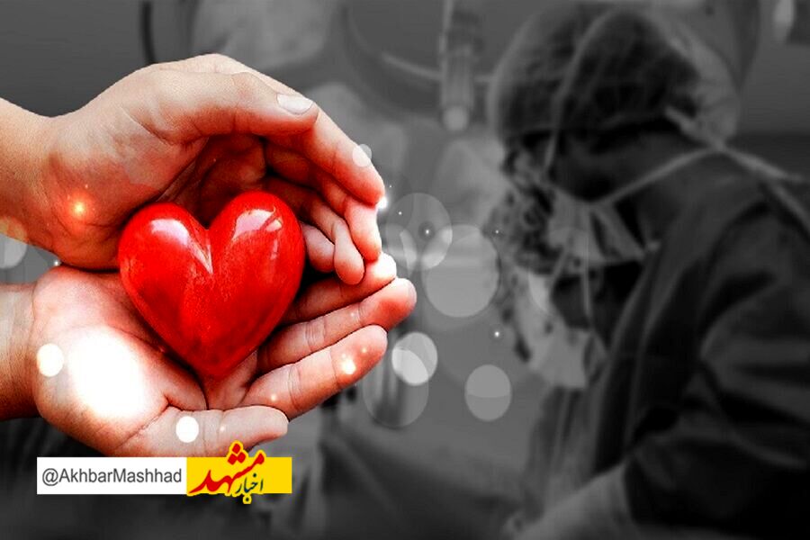 بانوی مرگ مغزی بیرجندی جان ۶ بیمار را نجات داد