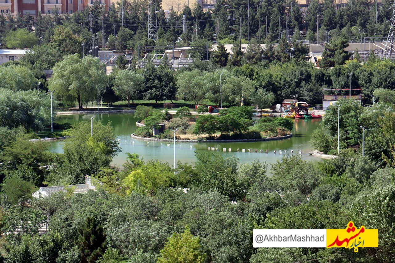 مشهد، سبزترین شهر ایران از نگاه مردم و مسئولان / رضایت ۸۵ درصدی شهروندان از بوستان‌ها و فضاهای سبز شهری
