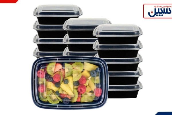 چه عواملی مدل تولید کاسپین پلاستیک آریا را از دیگر تولیدکنندگان ظروف پلاستیکی جدا می‌کند؟