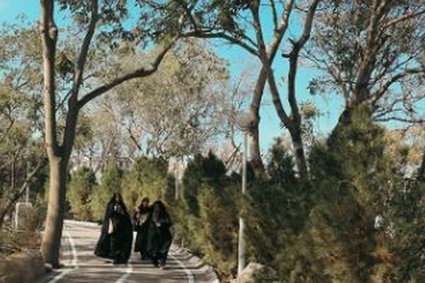 استقبال بیش از یک‌ میلیون بانوی مشهدی از بوستان‌های شهربانو در بهار ۱۴۰۵