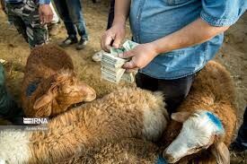 پیش‌بینی افزایش قیمت دام زنده با نزدیک شدن به عید قربان در مشهد
