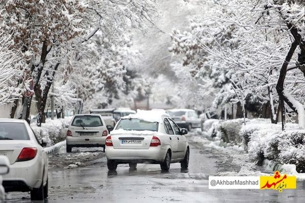 تصادف زنجیره‌ای ۱۱خودرو با ۱۱۹مصدوم در جاده تربت‌ ـ‌ مشهد