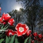 پیش‌بینی هواشناسی مشهد و خراسان رضوی، امروز