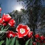 پیش‌بینی هواشناسی مشهد و خراسان رضوی، امروز