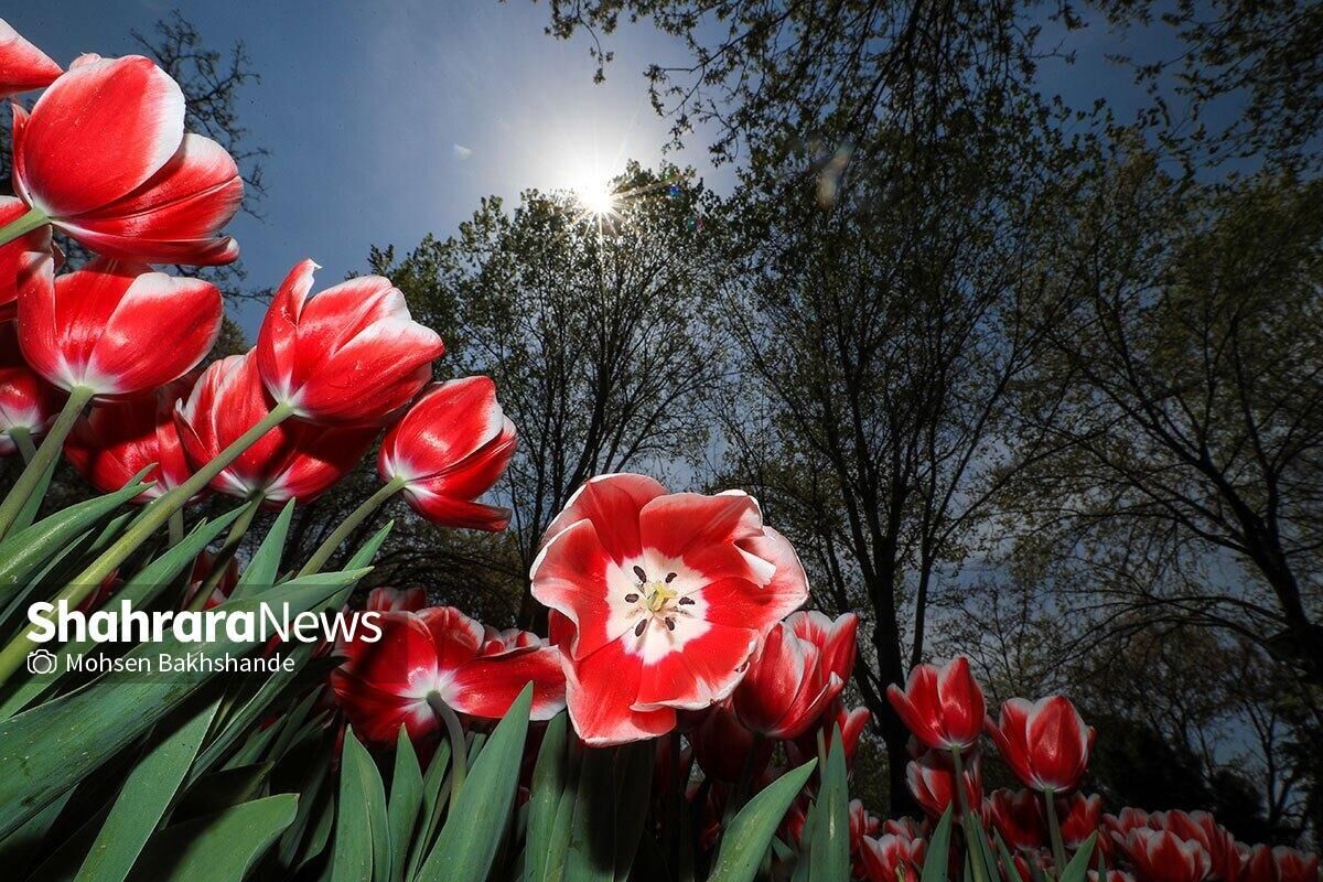پیش‌بینی هواشناسی مشهد و خراسان رضوی، امروز