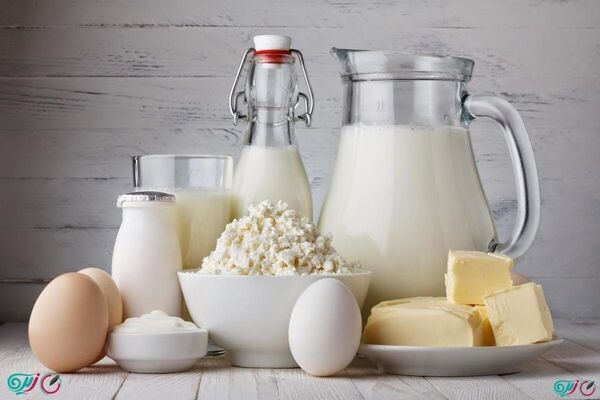 آیا حذف لبنیات از برنامه غذایی بیماران کلیوی درست است؟