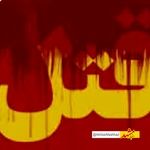 قهرمان کراسفیت ایران در تالارعروسی کشته شد