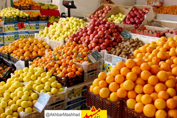 راه اندازی ۶۰ غرفه عرضه مستقیم میوه شب یلدا در مشهد 