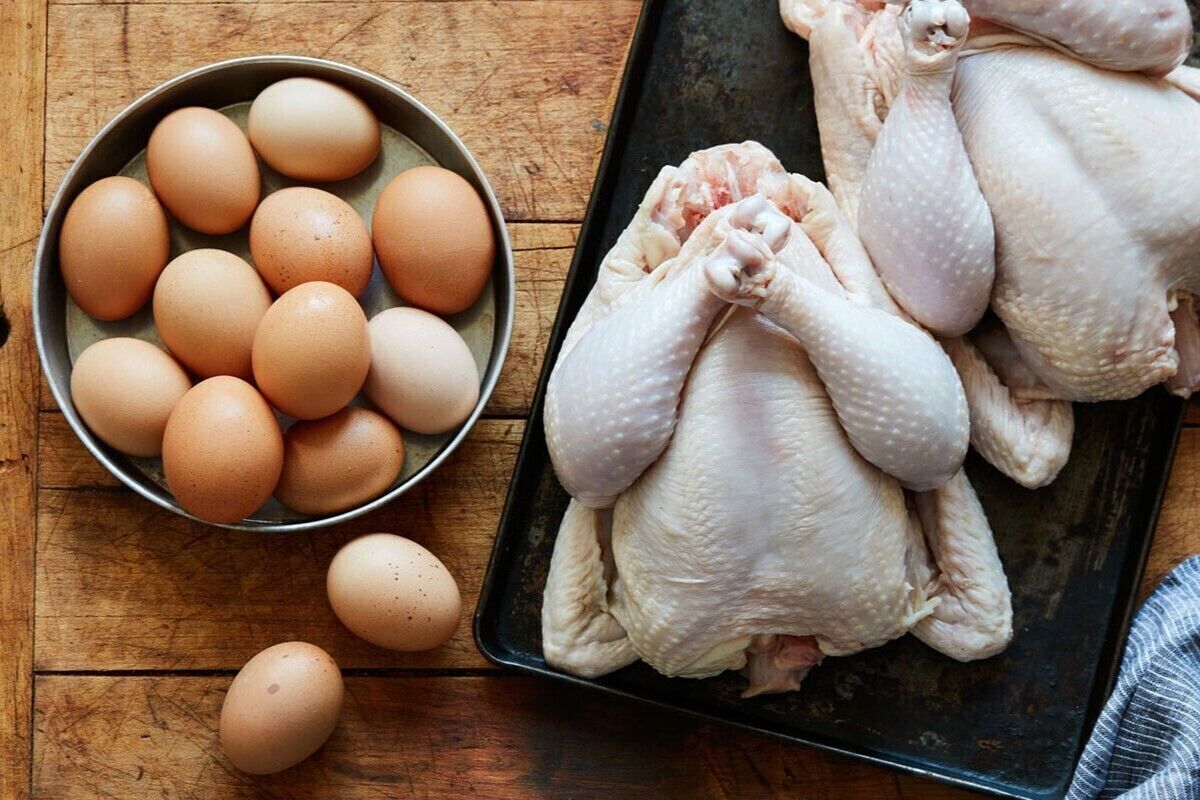 قیمت امروز گوشت، مرغ و تخم مرغ در مشهد