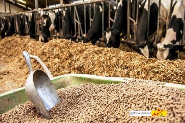 اگرتوان شکستن انحصار واردات نهاده‌های دامی و کنترل این حوزه را ندارید، کناربروید!