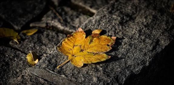 پیش‌بینی هواشناسی مشهد و خراسان رضوی 