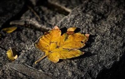 پیش‌بینی هواشناسی مشهد و خراسان رضوی 