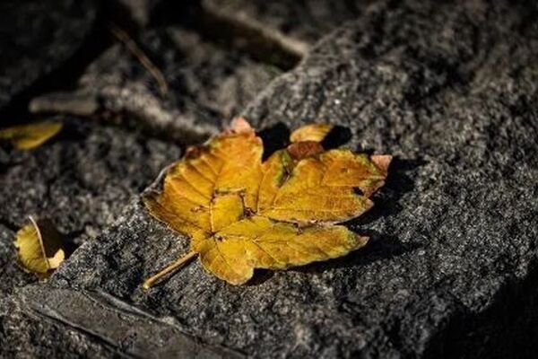 پیش‌بینی هواشناسی مشهد و خراسان رضوی 