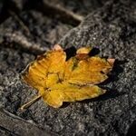 پیش‌بینی هواشناسی مشهد و خراسان رضوی 