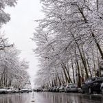 بارش برف و باران در نقاط مختلف کشور | ورود سامانه جدید بارشی از پنجشنبه (سه‌شنبه، ۱۹ اسفند ۱۴۰۴)