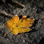 پیش‌بینی هواشناسی مشهد و خراسان رضوی امروز